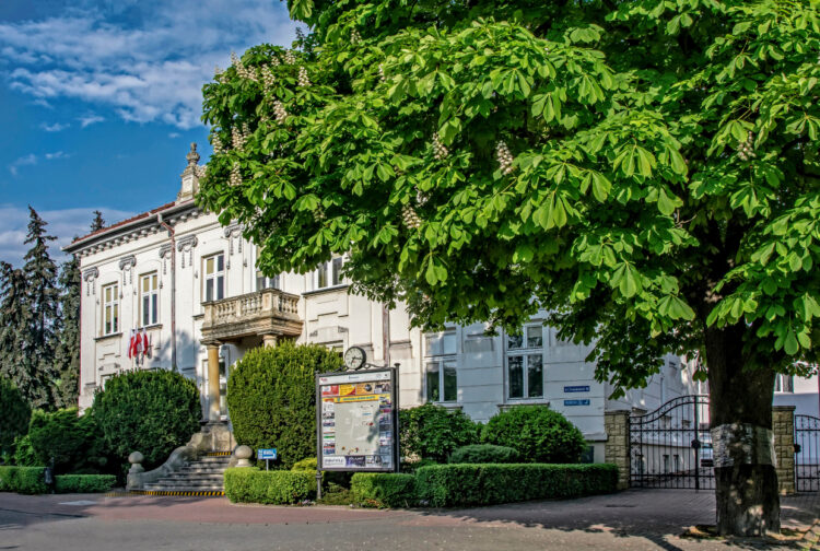 Budżet Obywatelski Tarnobrzega. Mieszkańcy mogą już wybierać projekty