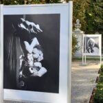 "Spotkania". Wystawa Tadeusza Poźniaka - Polskie Radio Rzeszów