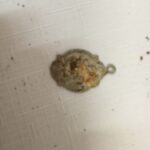 Znaleziska na terenie byłego obozu pracy 4 - Polskie Radio Rzeszów Znaleziska na terenie byłego obozu pracy - Polskie Radio Rzeszów