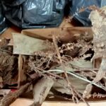 Znaleziska na terenie byłego obozu pracy 5 - Polskie Radio Rzeszów Znaleziska na terenie byłego obozu pracy - Polskie Radio Rzeszów