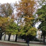 Zamkolandia i Jesienna rozmowa 8 - Polskie Radio Rzeszów Zamkolandia i Jesienna rozmowa - Polskie Radio Rzeszów