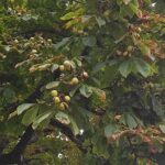 Zamkolandia i Jesienna rozmowa 7 - Polskie Radio Rzeszów Zamkolandia i Jesienna rozmowa - Polskie Radio Rzeszów