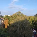 Otwarto wieżę widokową w Sądzie Okręgowym - Polskie Radio Rzeszów