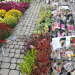 Ekologiczne produkty na Podkarpackim Bazarku (fotogaleria) 4 - Polskie Radio Rzeszów Ekologiczne produkty na Podkarpackim Bazarku (fotogaleria) - Polskie Radio Rzeszów