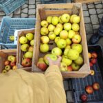 Ekologiczne produkty na Podkarpackim Bazarku (fotogaleria) 6 - Polskie Radio Rzeszów Ekologiczne produkty na Podkarpackim Bazarku (fotogaleria) - Polskie Radio Rzeszów