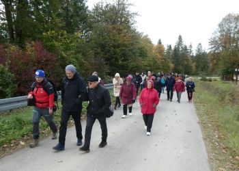 W&nbsp;podkarpackich górach oddano do&nbsp;użytku trzeci szlak z&nbsp;myślą o&nbsp;niepełnosprawnych