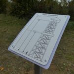 W podkarpackich górach oddano do użytku trzeci szlak z myślą o niepełnosprawnych - Polskie Radio Rzeszów