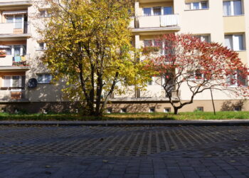 Rewitalizacja podwórek w&nbsp;Stalowej Woli