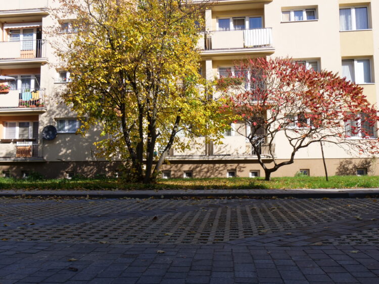 Rewitalizacja podwórek w Stalowej Woli