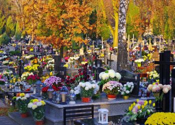 Na&nbsp;Podkarpaciu leśnicy porządkowali mogiły i&nbsp;cmentarze