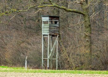 Łowiectwo w&nbsp;Polsce. Jak postrzegamy myśliwych?