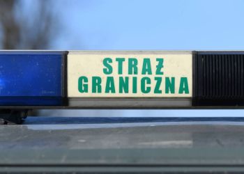 Części ze&nbsp;skradzionych samochodów odzyskano na&nbsp;granicy