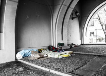 Jutro na&nbsp;cmentarzach największa zbiórka na&nbsp;rzecz bezdomnych na&nbsp;Podkarpaciu