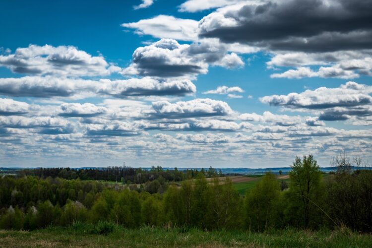 Podkarpaccy przedsiębiorcy nominowani do tytułu „Ambasador Wschodu" 1 - Polskie Radio Rzeszów Podkarpaccy przedsiębiorcy nominowani do tytułu „Ambasador Wschodu”