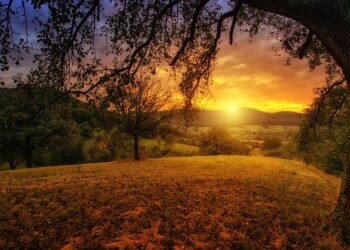 Ponad 20 zagranicznych radców handlowych przebywa z&nbsp;wizytą w&nbsp;regionie