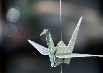 24 października – Światowy Dzień Origami