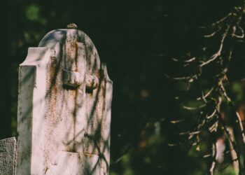 Żołnierze WOT porządkowali groby kombatantów i&nbsp;weteranów wojennych