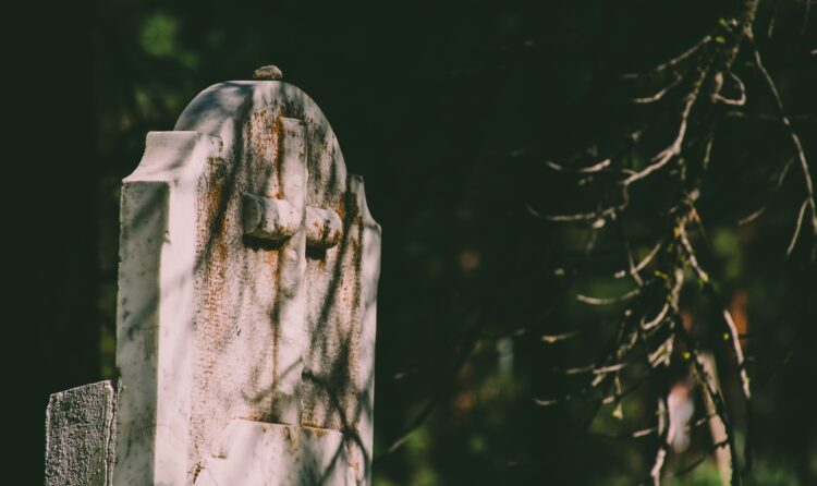 Żołnierze WOT porządkowali groby kombatantów i weteranów wojennych 1 - Polskie Radio Rzeszów Żołnierze WOT porządkowali groby kombatantów i weteranów wojennych