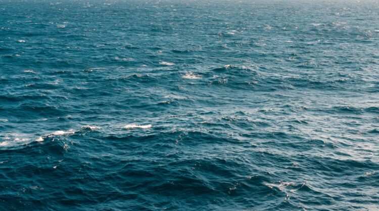 „Bliscy z przeszłości” – reportaż Aleksandry Sadokierskiej