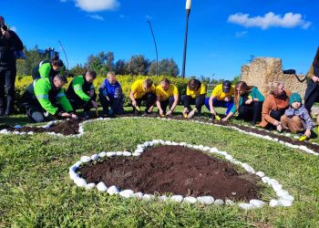 W&nbsp;Rzeszowie ruszyła akcja „Pola nadziei”