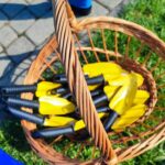 W Rzeszowie ruszyła akcja "Pola nadziei" 4 - Polskie Radio Rzeszów W Rzeszowie ruszyła akcja "Pola nadziei" - Polskie Radio Rzeszów