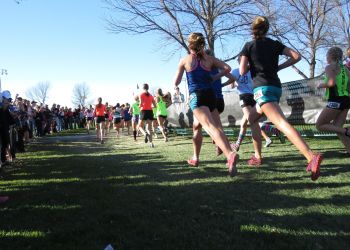 Mielecki Zielony Punkt Kontrolny
