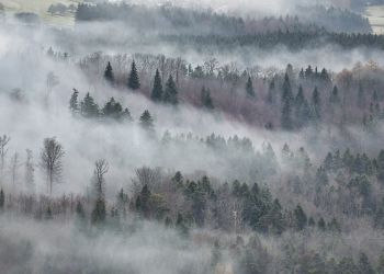 Gęsta mgła będzie utrudniać jazdę kierowcom