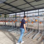 Powstała pierwsza monitorowana wiata w Rzeszowie - Polskie Radio Rzeszów