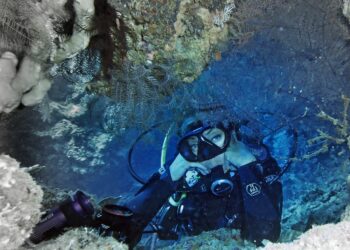 Nasze ekstremalne pasje