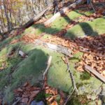 Rozstrzygnęliśmy konkurs fotograficzny "Złota jesień 2023" - Polskie Radio Rzeszów