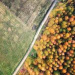 Rozstrzygnęliśmy konkurs fotograficzny "Złota jesień 2023" - Polskie Radio Rzeszów