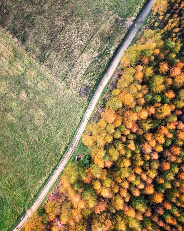 Rozstrzygnęliśmy konkurs fotograficzny „Złota jesień 2023”