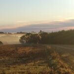 Rozstrzygnęliśmy konkurs fotograficzny "Złota jesień 2023" - Polskie Radio Rzeszów