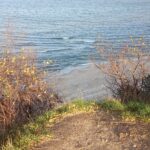 Rozstrzygnęliśmy konkurs fotograficzny "Złota jesień 2023" - Polskie Radio Rzeszów