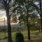 Rozstrzygnęliśmy konkurs fotograficzny "Złota jesień 2023" - Polskie Radio Rzeszów