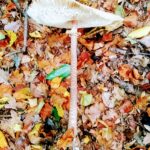 Rozstrzygnęliśmy konkurs fotograficzny "Złota jesień 2023" - Polskie Radio Rzeszów