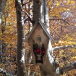 Rozstrzygnęliśmy konkurs fotograficzny "Złota jesień 2023" - Polskie Radio Rzeszów