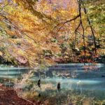 Rozstrzygnęliśmy konkurs fotograficzny "Złota jesień 2023" - Polskie Radio Rzeszów