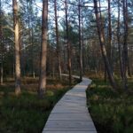 Rozstrzygnęliśmy konkurs fotograficzny "Złota jesień 2023" - Polskie Radio Rzeszów