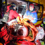 W Bieszczadach niedźwiedź zaatakował mieszkańca gminy Lutowiska (zdjęcia) 6 - Polskie Radio Rzeszów W Bieszczadach niedźwiedź zaatakował mieszkańca gminy Lutowiska (zdjęcia) - Polskie Radio Rzeszów