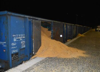 Wysypał kukurydzę z&nbsp;wagonu kolejowego. Grozi mu&nbsp;5 lat więzienia