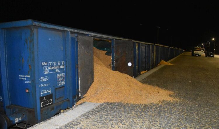 Wysypał kukurydzę z wagonu kolejowego. Grozi mu 5 lat więzienia