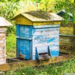 Reportaż "Tylko żyć" autorstwa Dominiki Dębskiej 8 - Polskie Radio Rzeszów Reportaż "Tylko żyć" autorstwa Dominiki Dębskiej - Polskie Radio Rzeszów