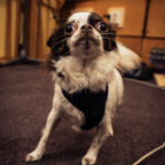 Trwają nagrania do nowego słuchowiska "Cmentarz lalek" (fotogaleria) - Polskie Radio Rzeszów