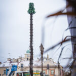 Na rzeszowskim Rynku rozpoczął się montaż choinki (zdjęcia) - Polskie Radio Rzeszów