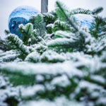 Na rzeszowskim Rynku rozpoczął się montaż choinki (zdjęcia) - Polskie Radio Rzeszów