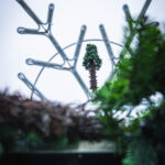 Na rzeszowskim Rynku rozpoczął się montaż choinki (zdjęcia) - Polskie Radio Rzeszów