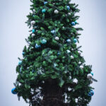 Na rzeszowskim Rynku rozpoczął się montaż choinki (zdjęcia) - Polskie Radio Rzeszów