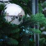 Na rzeszowskim Rynku rozpoczął się montaż choinki (zdjęcia) - Polskie Radio Rzeszów