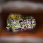 1 listopada - Dzień Wszystkich Świętych 17 - Polskie Radio Rzeszów 1 listopada - Dzień Wszystkich Świętych - Polskie Radio Rzeszów